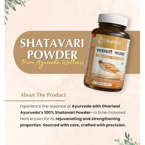 Dhariwal Ayurveda Organic Shatavari Powder 100 G | 100% Pure & Ayurvedic | General Well-Being Supplement | Asparagus Racemosus Root