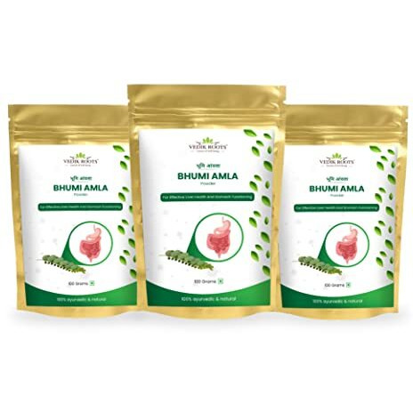Vedikroots Bhumi Amla Powder/Churn - Organic And Pure Ingredient Extract For Healthy Liver Functioning And Digestive Strength | Enriched With Essential Nutrients