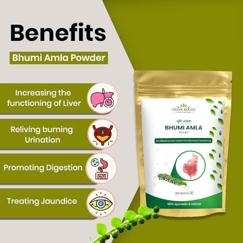 Vedikroots Bhumi Amla Powder/Churn - Organic And Pure Ingredient Extract For Healthy Liver Functioning And Digestive Strength | Enriched With Essential Nutrients