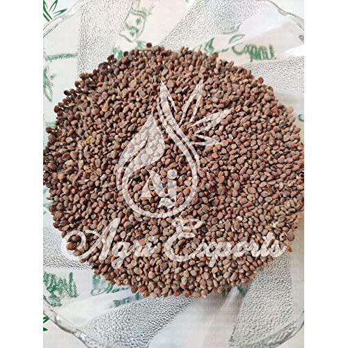Aj Agri Exports Muli Beej - Mooli Beej - Muli Seeds - Mooli Ke Beej - Muli Ke Beej - Mooli Seeds - Radish Seeds - Raphanus Sativus -   (400 Grams)