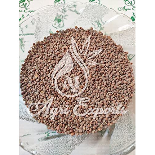 Aj Agri Exports Muli Beej - Mooli Beej - Muli Seeds - Mooli Ke Beej - Muli Ke Beej - Mooli Seeds - Radish Seeds - Raphanus Sativus -   (400 Grams)