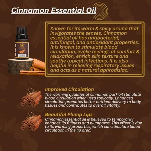 Ullassa Cinnamon Bark Essential Oil | Improved Circulation, Brain Function, Plump Lips | Skincare, Haircare, Respiratory Wellness | 100% Pure & Natural | Cinnamomum Zeylanicum (Pack Of 1)