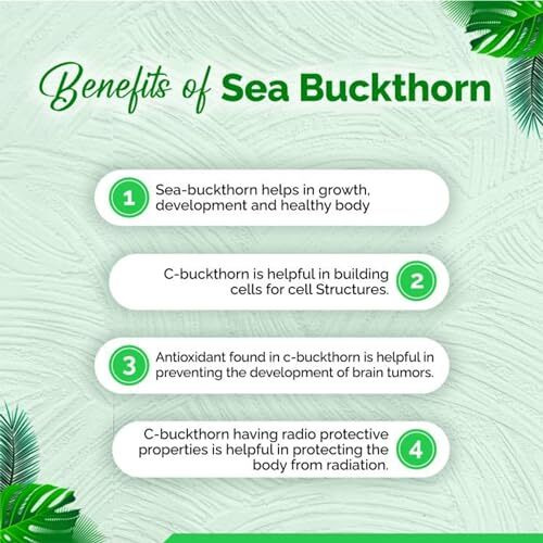 Herba Himalaya Sea Buckthorn Berries Powder - Rich In Omega, Vitamin E, Vitamin C - Pure & Natural (100 Gm)