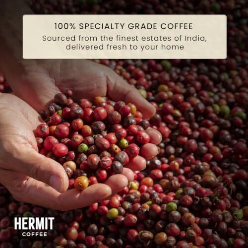 Hermit Coffee Original Blend, Medium Dark Roast | Made With 100% Specialty Grade Arabica, Freshly Roasted (French Press) |250G|