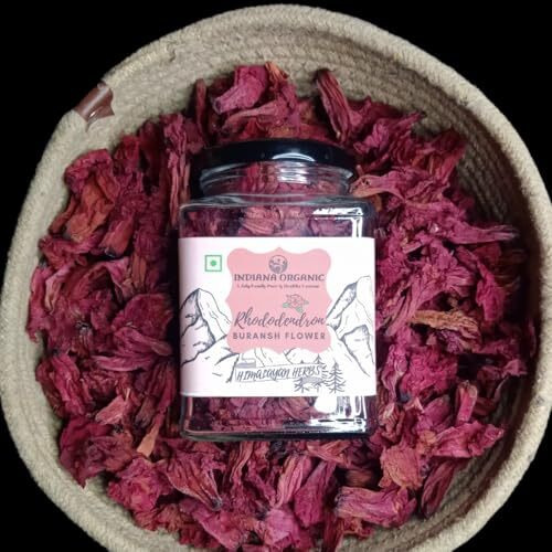 Indiana Organic Rhododendron Flower Tea - 40 Gram Whole Leaf Buransh Flower Petals In Glass Jar | Pure Herbal Tea"