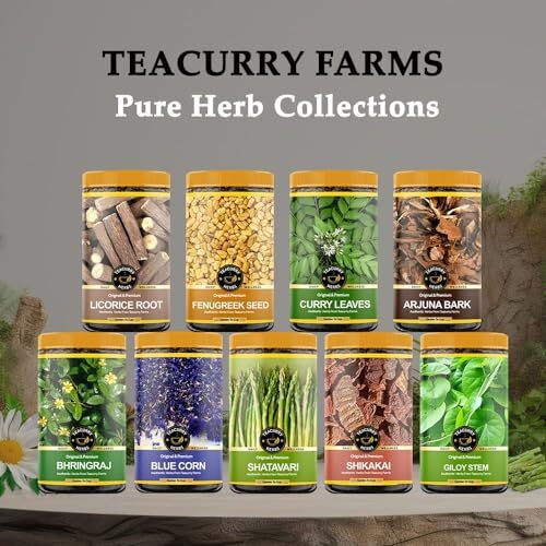 Teacurry Organic Garcinia Cambogia Fruit (150 Gram) - Helps With Joint Health, Support Digestion & Weight Management - All Natural, Whole Dried Fruit
