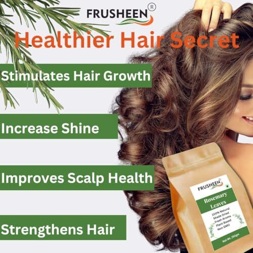 Rosemary Dried Leaves, Premium, Shade Dried, Fresh Aroma, Plant Based For Making Rosemary Water & Rosemary Hair Oil | Non Gmo - Preservative Free 250Gm