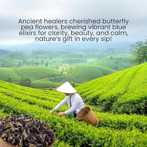 Hygeia Butterfly Pea Flower Tea | 100% Natural Herbal Detox | Super Antioxidant & Brain Health | Aparajita Shankhpushpi | Caffeine-Free | 30G (60 Cups) | Blue Tea For Relaxation & Wellness