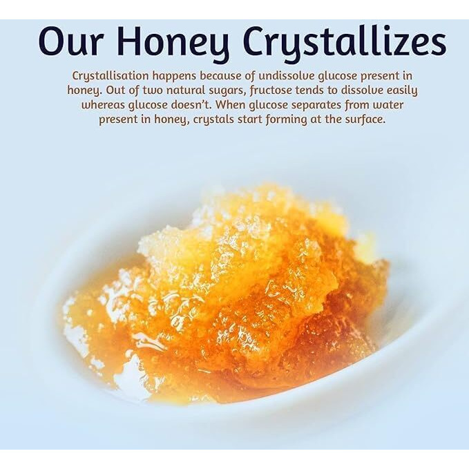 Honey All Day - Raw Honey Pouch Pack Of 2 |100% Natural Cold Processed Organic Honey |Sourced From Forests Of Bengal |Fresh Honey |Immunity Booster |No Added Sugar 100% Certified & Tested (70 Gm Each)