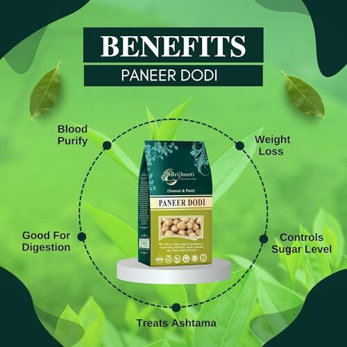 Brijbooti Paneer Dodi Phool - 800G | Paneer Doda Phool For Diabetes | Paneer Ka Phool
