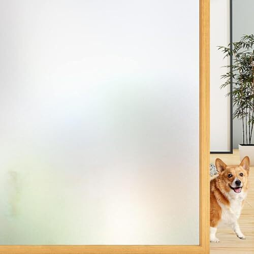 Woohome Privacy Window Film White Opaque Frosting Film Window Sticker Window Frosted Vinyl Sheets For Front Door/Bathroom/Sidelight/Small Windows (24" X 48")