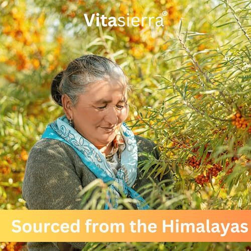 Vitasierra Sea Buckthorn Pulp Concentrate (300 Ml) - Thick & Pure 100% Sea Buckthorn Berry Pulp - Makes Upto 50 Glasses Of Sea Buckthorn Juice - No Chemical Additives Pure Seabuckthorn (New Amber Packaging)