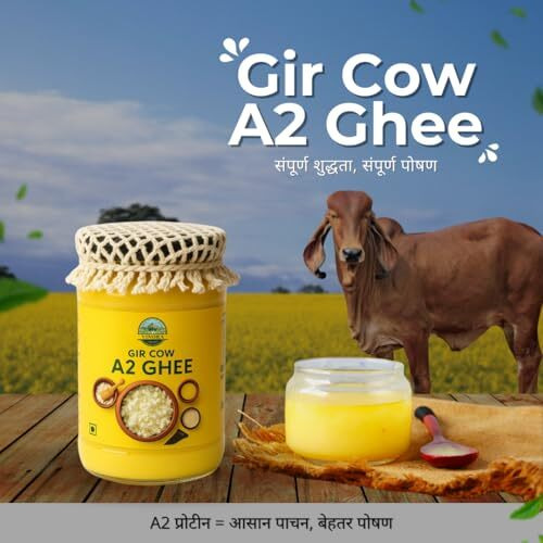Vinora A2 Gir Cow Ghee | Traditional Bilona Method A2 Cow Ghee | Grassfed, Pure And Healthy Desi Cow Ghee (Glass Bottle) (200 Ml)