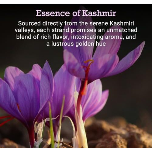 First Bud Organics Premium Kashmiri Mogra Saffron - 2 Grams | 100% Pure Saffron, Handpicked, Grade A++, High Potency | Perfect For Cooking, Baking, And Medicinal Use