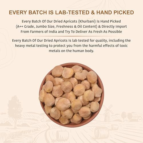 Nutty Organics Dried Apricots Jardalu 500 Gm | Nutritious| Rich In Iron | Tasty & Healthy Nuts Dry Fruits | Rich In Protein | Gluten Free | Vegan