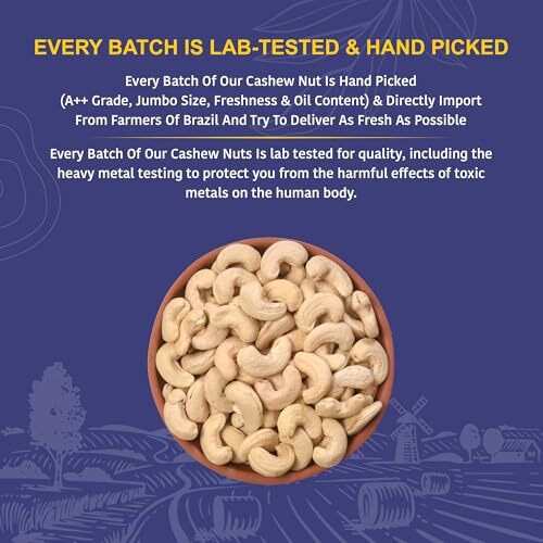 Nutty Organics Cashew Nuts 500 Gm | Nutritious & Delicious Nuts | Natural & Crunchy | Healthy Dry Fruit Snack