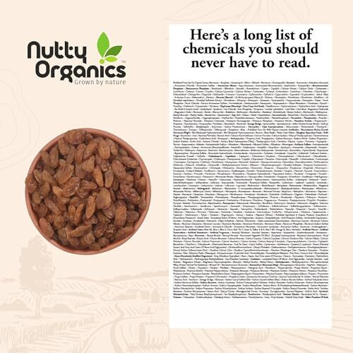 Nutty Organics Munaka Raisins 500 Gm | Nutritious| Rich In Iron | Tasty & Healthy Nuts Dry Fruits | Rich In Protein