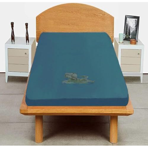 Trance Cotton Feel Terry Ultra Soft Waterproof Mattress Protector | Breathable - Hypoallergenic Mattresses Cover (72X36 Inch | 6X3 Feet, Teal - Pack Of 1)