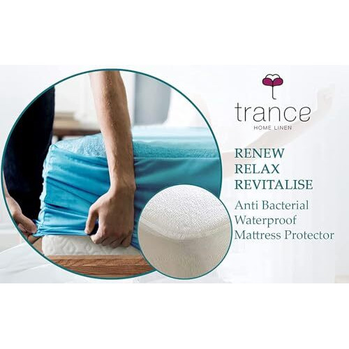 Trance Waterproof Terry Fabric Ultra Soft Mattress Protector | Breathable | Hypoallergenic Bed Cover | Mattresses Cover (75X60 Inch | 6.25X5 Feet_ Turquoise)