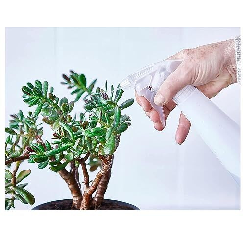 Ikea Polypropylene Plastic Spray Bottle For Sanitising, Watering Plants, Ironing Spray, Haircut (Light Turquoise), 350 Milliliter - 350 Ml, Transparent