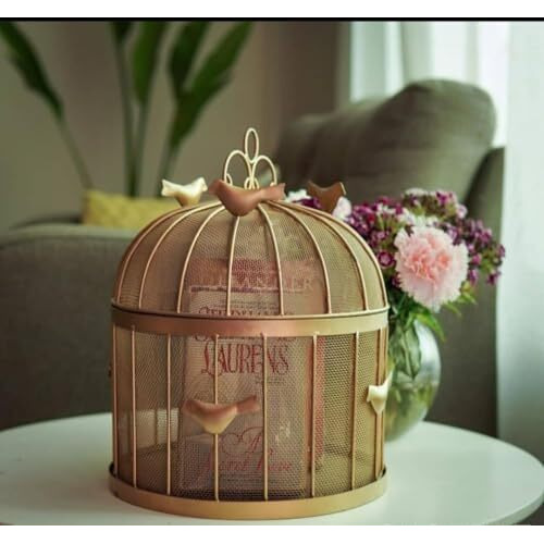 Rizik Store Modern Insect Free Metal Fruit Round Basket With Mesh Lid Suitable For Keeping Fruits, Vegetables (Transparent)