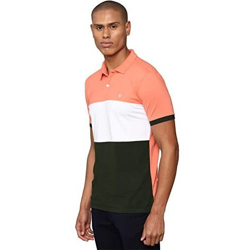 Allen Solly Men's Solid Regular Fit Polo Shirt (Askpcurgfb67703_Peach L)