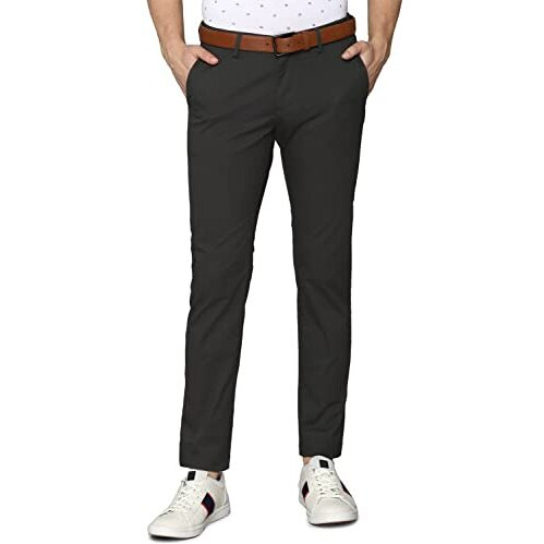 Allen Solly Men's Slim Casual Pants (Astfqsrfq22143_Grey_38)
