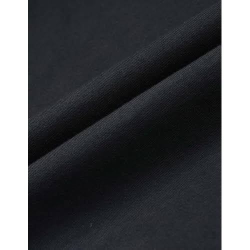 U.S. Polo Assn. Men's Regular Fit T-Shirt (Ustshf0082_Black