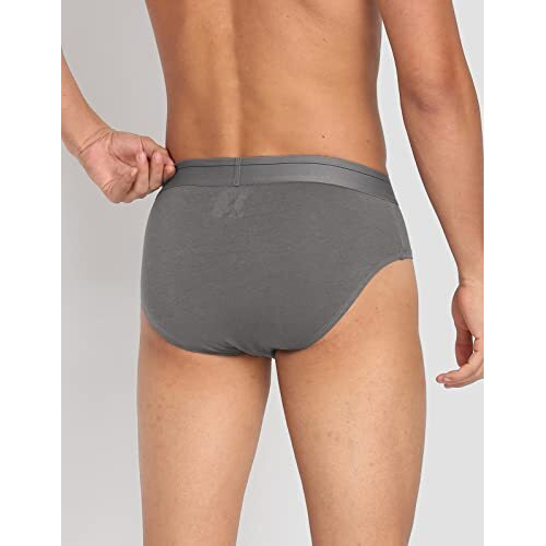U.S. Polo Assn. Mens Modal Cotton Stretch Antibacterial Pb003 Premium Briefs - Pack Of 1 (Lt.Grey L)