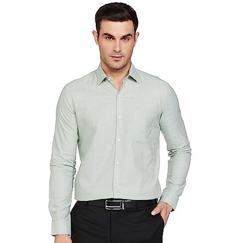Arrow Men's Solid Full Sleeve Slim Fit Cutaway Collar Cotton Formal Shirt (Aradosh1444_Light Green_39)