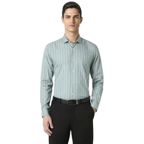 Peter England Men's Striped Slim Fit Shirt (Pesfwslpw47328_Green 39)