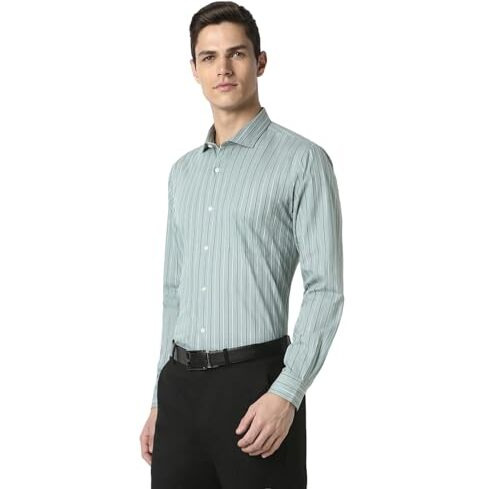 Peter England Men's Striped Slim Fit Shirt (Pesfwslpw47328_Green 39)