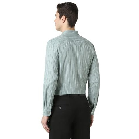Peter England Men's Striped Slim Fit Shirt (Pesfwslpw47328_Green 39)