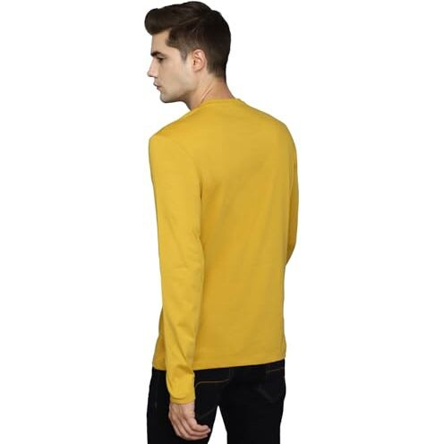 Allen Solly Men's Cotton Solid Regular Fit T-Shirt (Askhcusgpy13440_Yellow Ochre L)