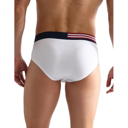 U.S. Polo Assn. Men's Cotton Blend Classic Solid Briefs (Pack Of 2) (Oeb06-P2_White-Glacier Lake