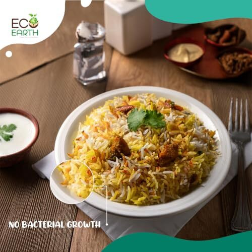 Eco Earth 11In (28Cm) 50 Pack Disposable Bagasse Plates - Sugarcane Plate For Snack Biodegradable Disposal Natural & Eco Friendly Non-Absorbent Heavy Duty Strong, Round, White