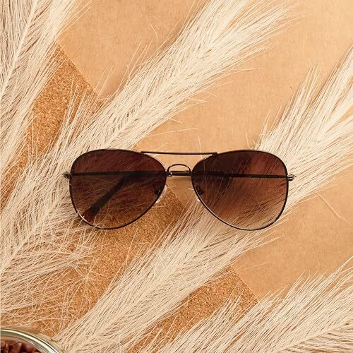 Fastrack Brown Aviator 100% Uv Protected Sunglasses For Men