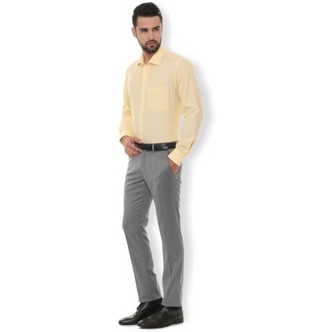 Van Heusen Men's Solid Slim Fit Formal Shirt (Vhsfbslpw83158_Yellow_42)