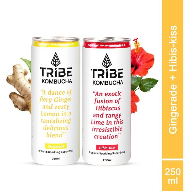 Tribe Kombucha Naturally Sparkling Probiotic Super Drink| Ginger,Hibiscus & Lemon | Gut Friendly | Gluten Free | Immunity Booster | Antioxidant And Hydration | 250 Ml (Gingerade And Hibiscus, 4)