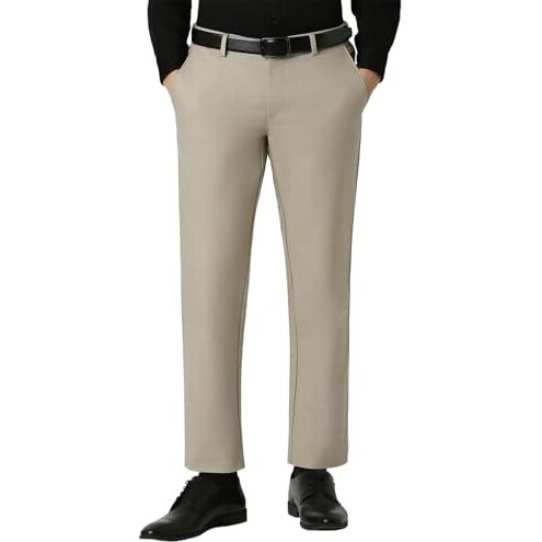 Van Heusen Men's Slim Pants (Vhtffslb542582_Beige