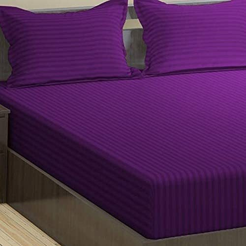 Trance Home Linen 200 Tc Pure 100% Cotton Bedsheet Set Of 4Pcs-(1 King Size Fitted Sheet + 1 King Size Flat Sheet And 2 Pillow Covers,Purple)