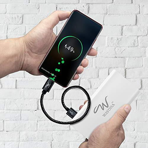 Wayona Nylon Braided Usb Data Sync & Fast Charging Short Power Bank Cable Compatible For Iphones (0.25M Short Cable, Jet Black)