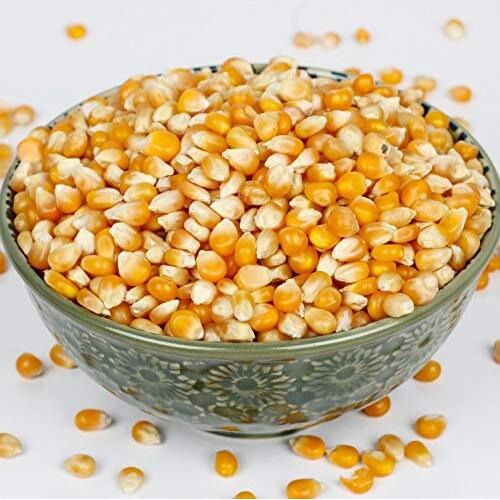 Urban Platter Black Chia Seeds, 500G (Rich In Omega-3, Fibre & Protein | Superfood)
