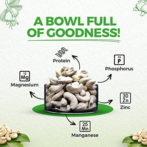Nutndiet Fresh Crunchy Whole Cashews 100G Premium W240 Grade (Kaju 100Gm W240) Cashews