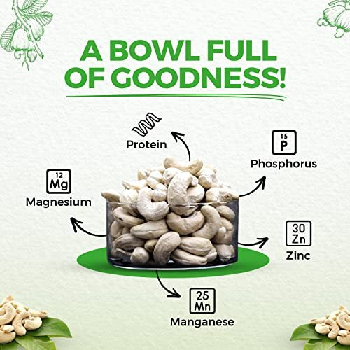 Nutndiet Fresh Crunchy Whole Cashews 100G Standard W320 Grade (Kaju 100 Gm W320) Cashews