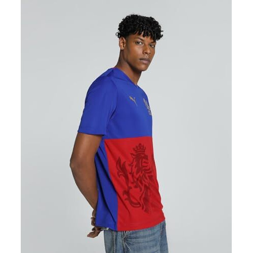 Puma Polyester Men's Printed Regular Fit T-Shirt (763961_Surf The Web-For All Time Red, Small