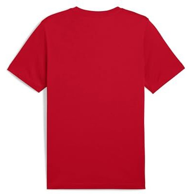 Puma Men's Regular Fit Tees (684708_For All Time Red