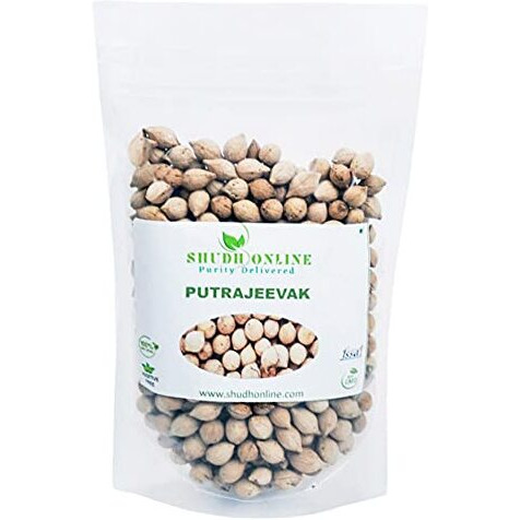 Shudh Online Putrajeevak Beej, Putrajivak Seed (1000 Grams / 1 Kg), Putrijivak, Putr Jivak, Roxburghii