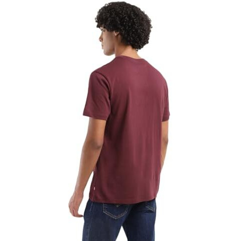 Levi's Men's Geometric Regular Fit T-Shirt (16960-1293_Red