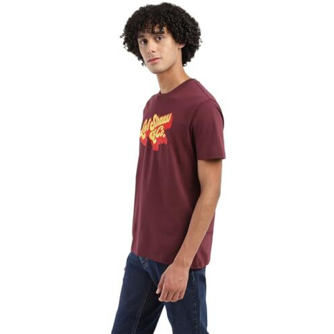 Levi's Men's Geometric Regular Fit T-Shirt (16960-1293_Red